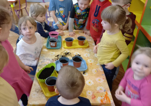 Dzieci stoją przy doniczkach