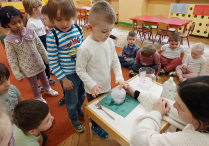 Zdjęcie 9 na 13