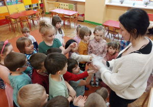 Zdjęcie 11 na 13