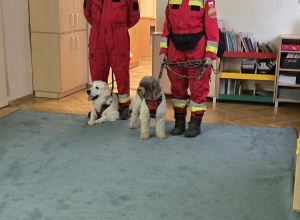 Ochotnicza Straż Pożarna grupa Ratownicza z psami