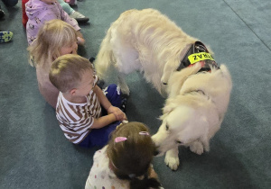 Pies obwąchuje sale i dzieci