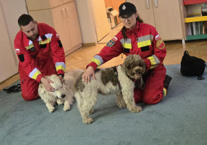 Ratownicy opowiadają o pracy z psami