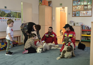 Wyzbywamy sie leku przed psami - dzieci głaszczą psy