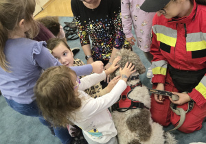 Dzieci głaszczą psy