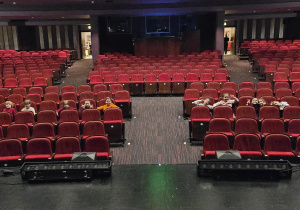 Zdjęcie ze sceny na całą sale