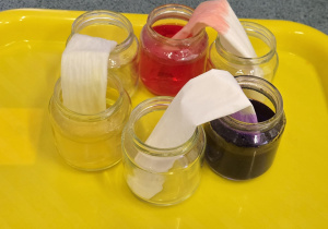 Eksperyment wędrującej wody