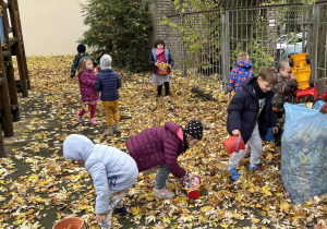 Dzieci zbierają liście