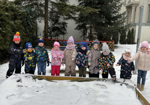 Wytropione ślady ptaków na sniegu