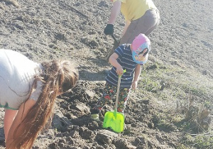 Chłopiec z rodziną przekopuje i sadzi nasiona na działce
