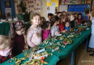 Dzieci oglądają prezentowane dary lasu.
