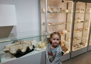 Dziewczynka stoi przy gablocie ze skamielina