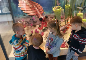 Dzieci stoją przy zamkniętym akwarium z morskimi zwierzetami