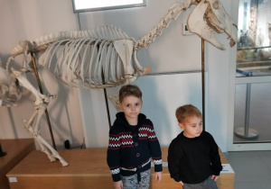 Chłopcy stoją przy szkielecie