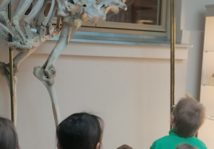 Dzieci stoją przy szkielecie