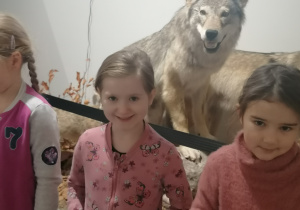 Dziewczynki stoją przy wilku