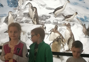 Dzieci stoją przy ekspozycji pingwinów